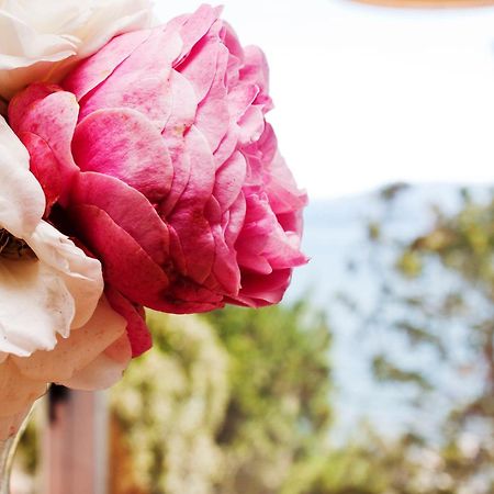Sol Del Nahuel - Hotel & Spa Σαν Κάρλος ντε Μπαριλότσε Δωμάτιο φωτογραφία